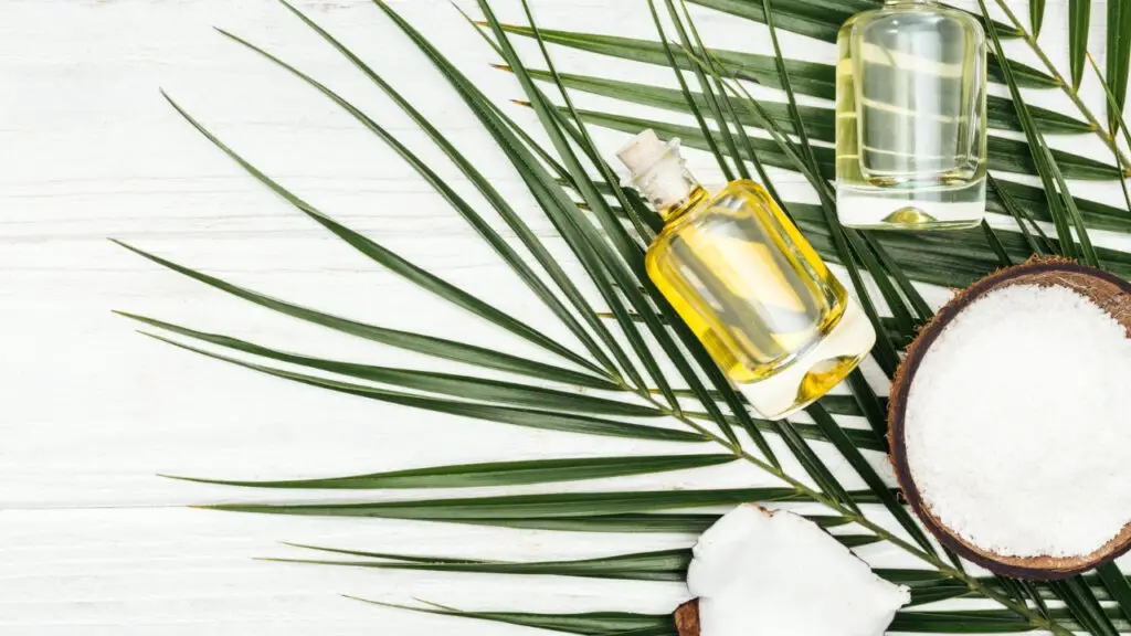 manfaat minyak kelapa dalam kutus kutus