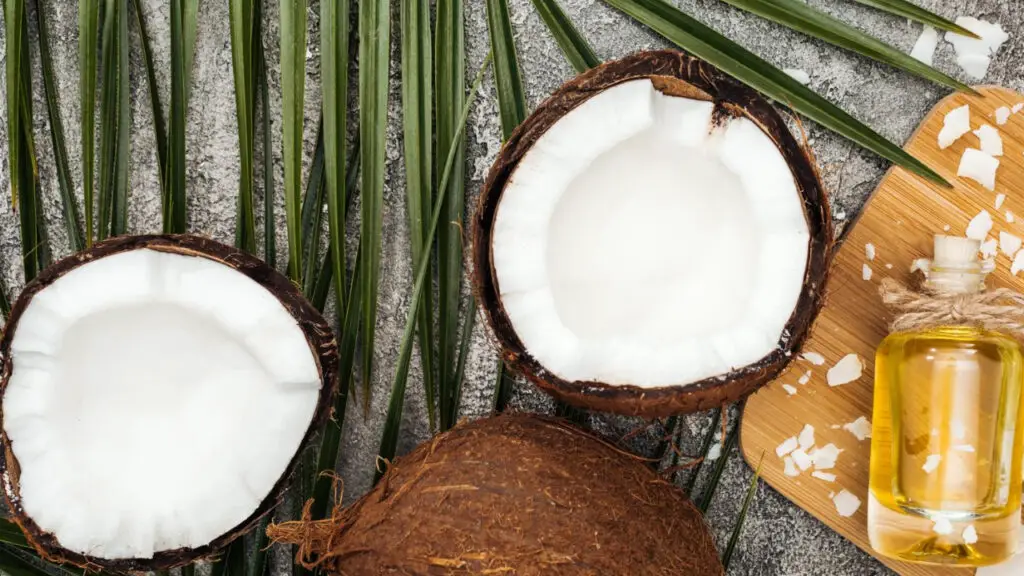 minyak kelapa pada kutus kutus