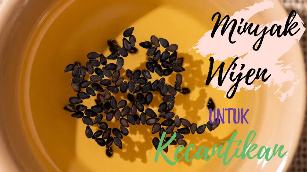 manfaat minyak wijen